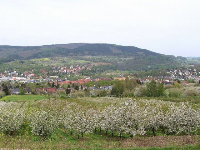 Start in der Kirschblütenstadt Witzenhausen