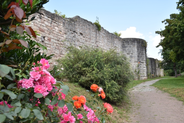 Stadtmauer