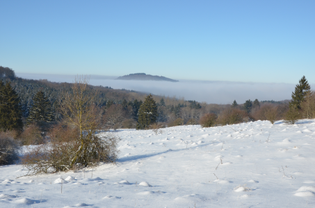 Doernberg im Nebel